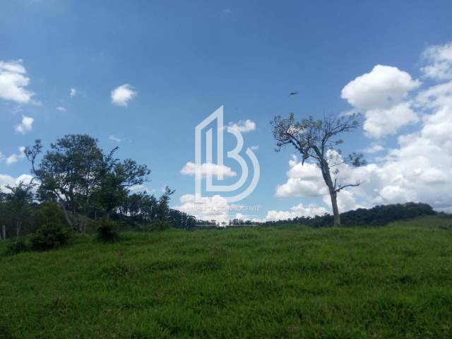 Chácara para Venda em Pedra Bela - 3